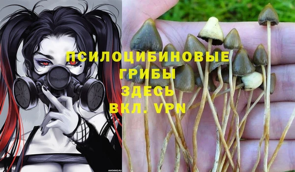 соль ск Белоозёрский