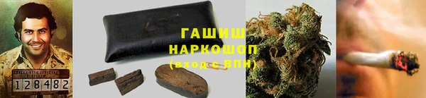 Альфа ПВП Белокуриха