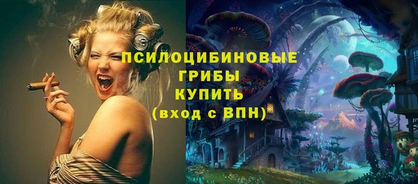 Альфа ПВП Белокуриха